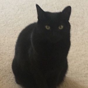 Meet your Posher, Joanne